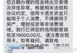 邢台为什么选择专业追讨公司来处理您的债务纠纷？